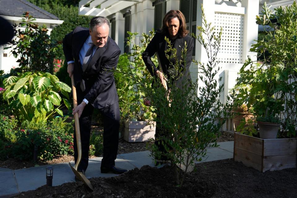 PHOTO: Democratic presidential nominee Vice President Kamala Harris and second gentleman Doug Emhoff plant a memorial tree on the grounds of their residence in Washington, Oct. 7, 2024, to honor the victims of the Oct. 7, 2023, Hamas attack on Israel.  (Ben Curtis/AP)