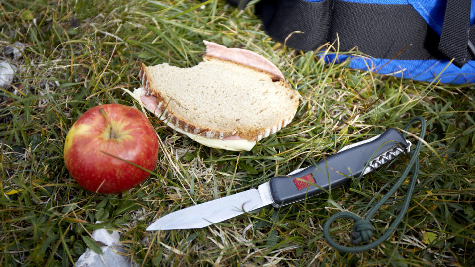 an apple, sandwich, and multi-tool