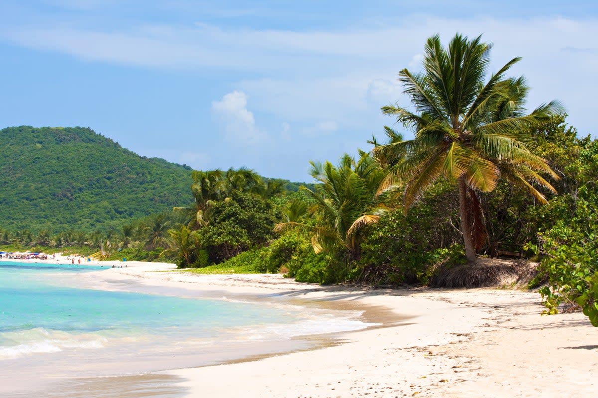 Coconut palms overlook Flamenco Beach on Culebra Island (Getty Images/iStockphoto)