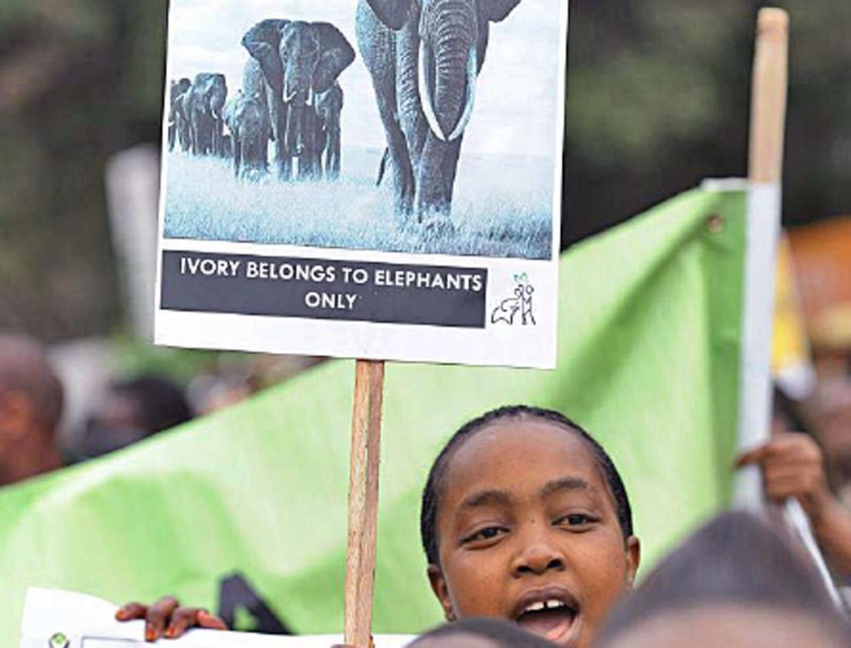 Wildlife conservationists take to the streets of Nairobi as part ofan awareness campaign dubbed ‘Ivory Belongs to Elephants’ (AFP)