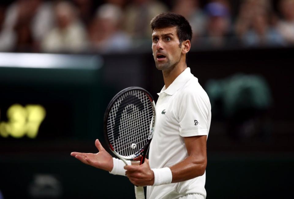 Novak Djokovic is awaiting the outcome of an appeal against the decision by the Australian Border Force (ABF) to cancel his entry visa and deport him (John Walton/PA) (PA Wire)