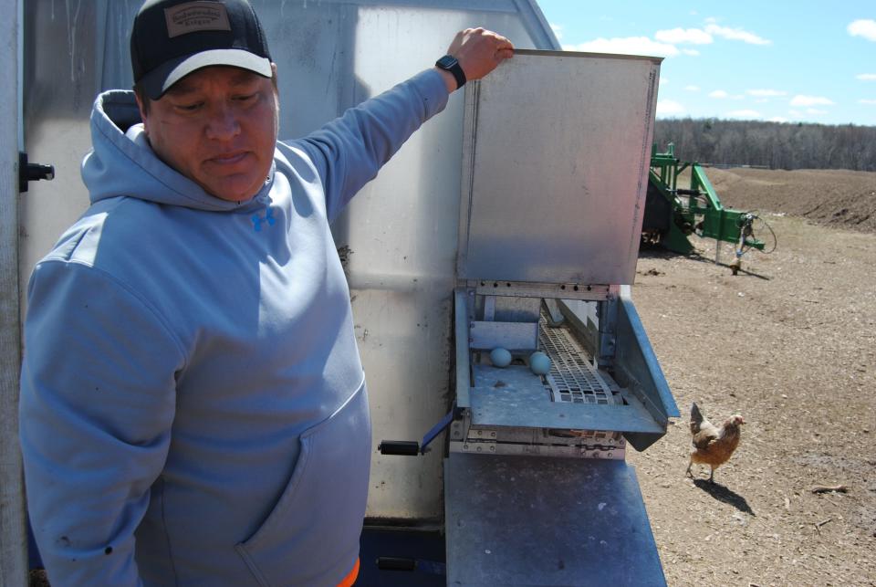 Potawatomi Farm assistant Manager Joe Shepard collects eggs from the farm's mobile chicken coop.