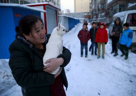 Sun Huanping, 55, holds her pet dog as she takes a walk near her house in Zhangjiakou, China, November 23, 2015. Sun and her husband Li Guoquan's son, Li Chao, was born in 1987 and died in a car accident in 2013. Their dead son's beloved pet dog has become another family member to the couple. The change to the one-child policy is too late and means nothing to them, they said. REUTERS/Kim Kyung-Hoon