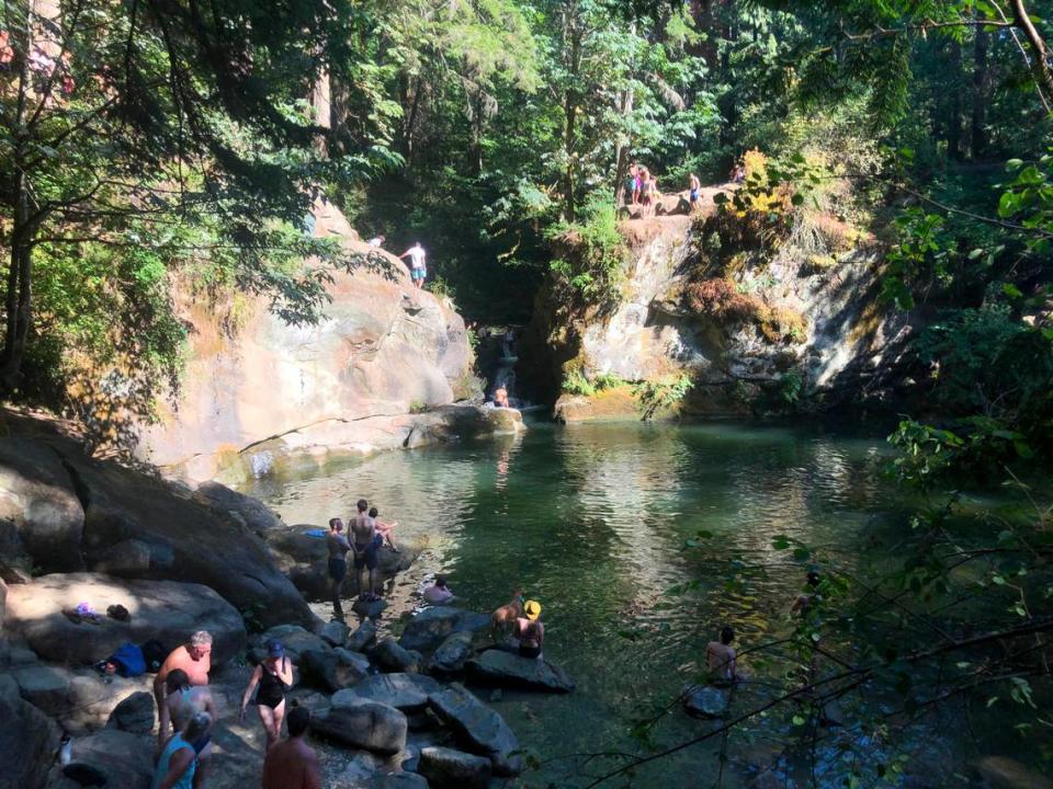 Swimmers cool off in a Whatcom Creek pool at Whatcom Falls Park Friday, July 29, in Bellingham.