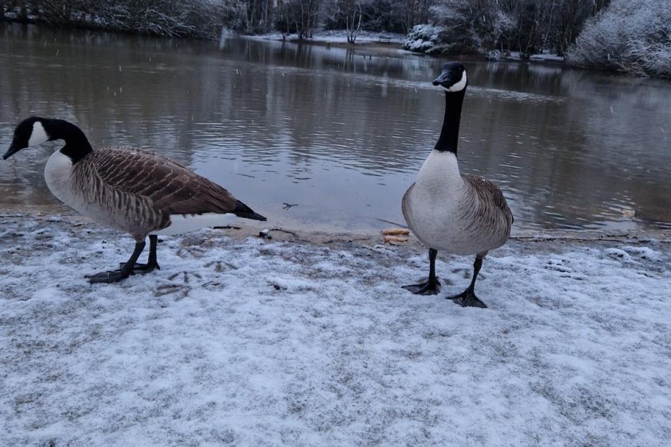 Snow in Putney (@JPaulG)