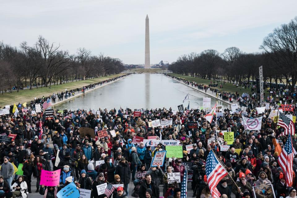 Anti-vaccine mandate demonstrators gather on the National Mall.