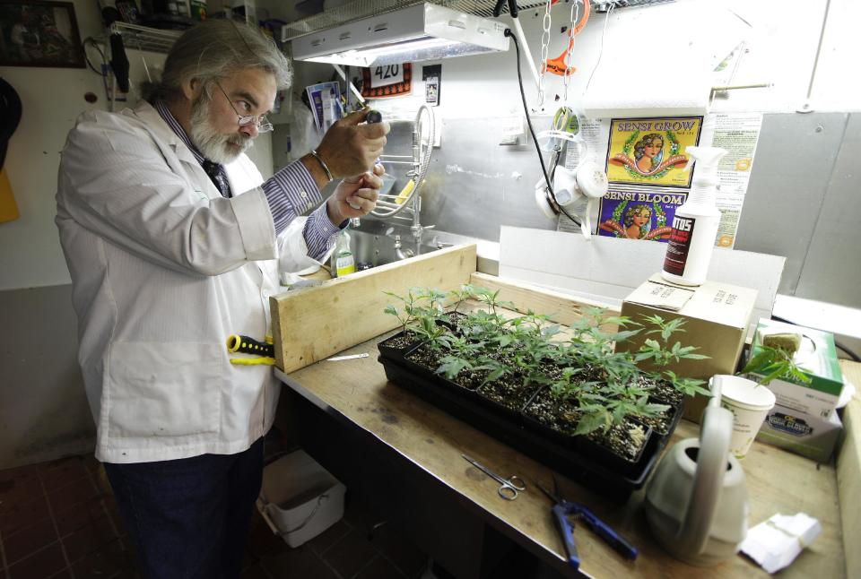 Jake Dimmock, co-owner of the Northwest Patient Resource Center medical marijuana dispensary, works on balancing the pH level of the soil used to grow new medical marijuana plants, Wednesday, Nov. 7, 2012, in Seattle. After voters weighed in on election day, Colorado and Washington became the first states to allow legal pot for recreational use, but they are likely to face resistance from federal regulations. (AP Photo/Ted S. Warren)