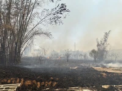 圖： 南屯區公墓火警，現場一片焦黑。（記者孫義方攝）