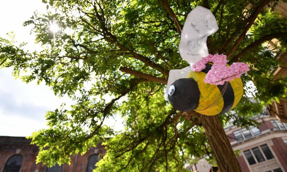 A bee hangs from a tree in St Ann’s Square