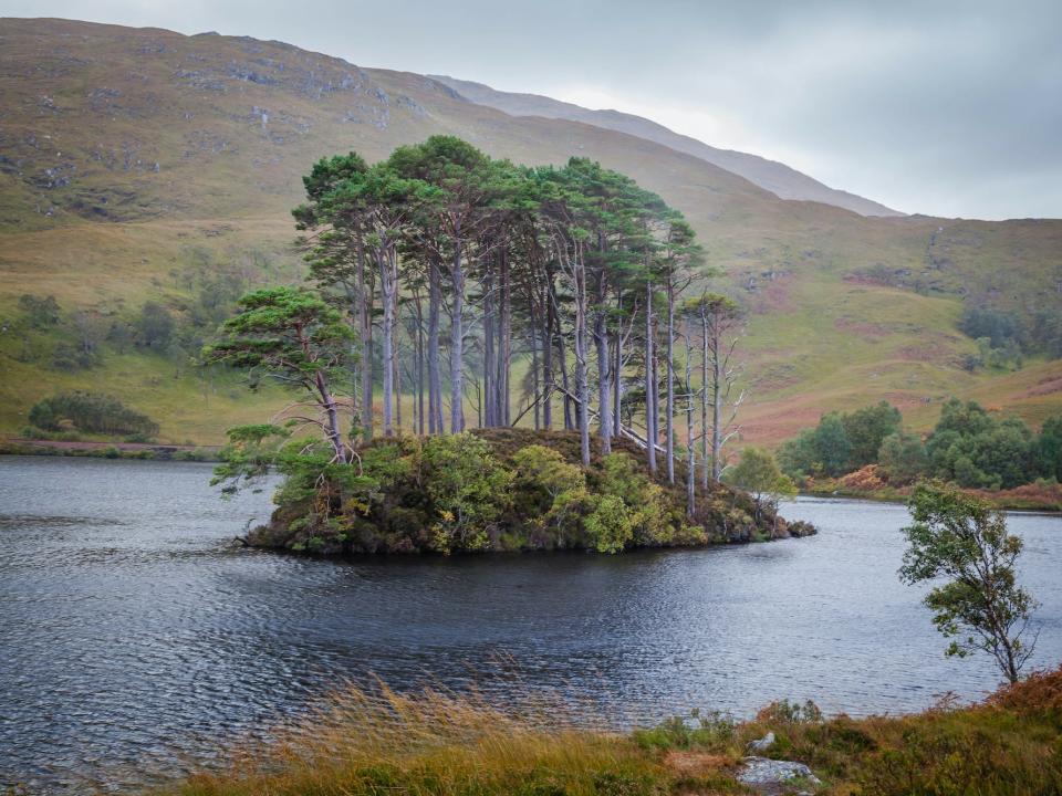 Loch Eilt - Dumbledore