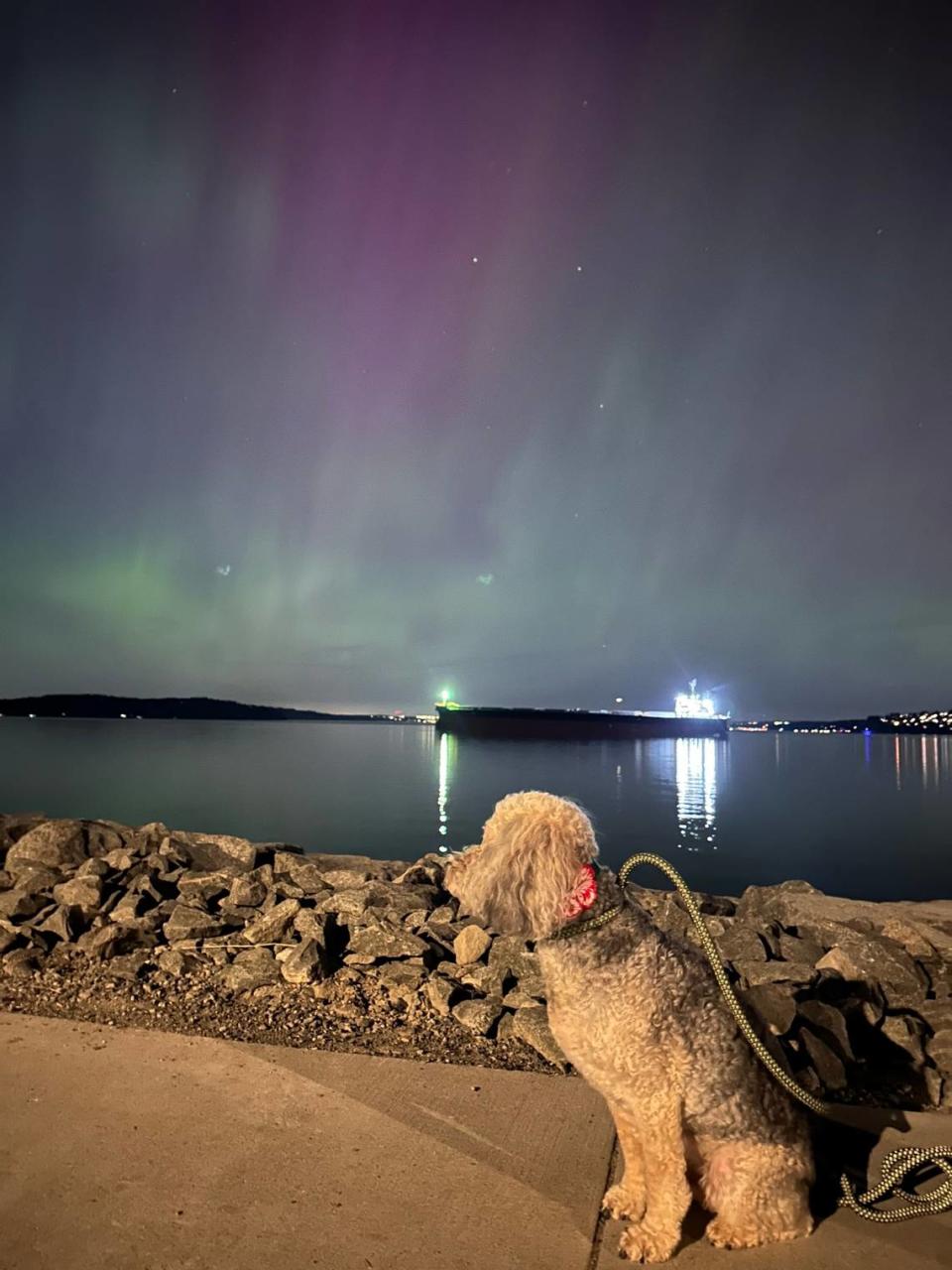 The aurora borealis was seen in most parts of Washington on Friday, including Pierce County.