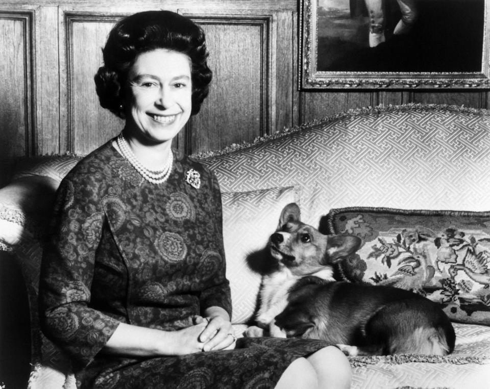 The Queen with one of her corgis in 1970 (CENTRAL PRESS/AFP via Getty Imag)