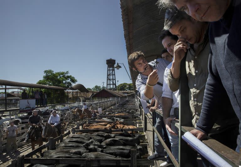 Una firma martillera en plena subasta