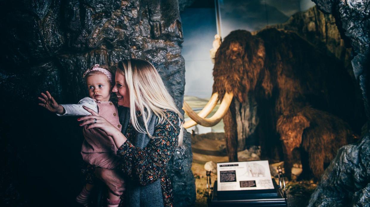 The woolly mammoth exhibition at the museum