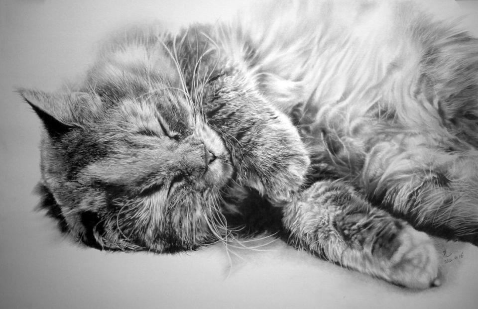 Realistic pencil drawings: Paul Lung