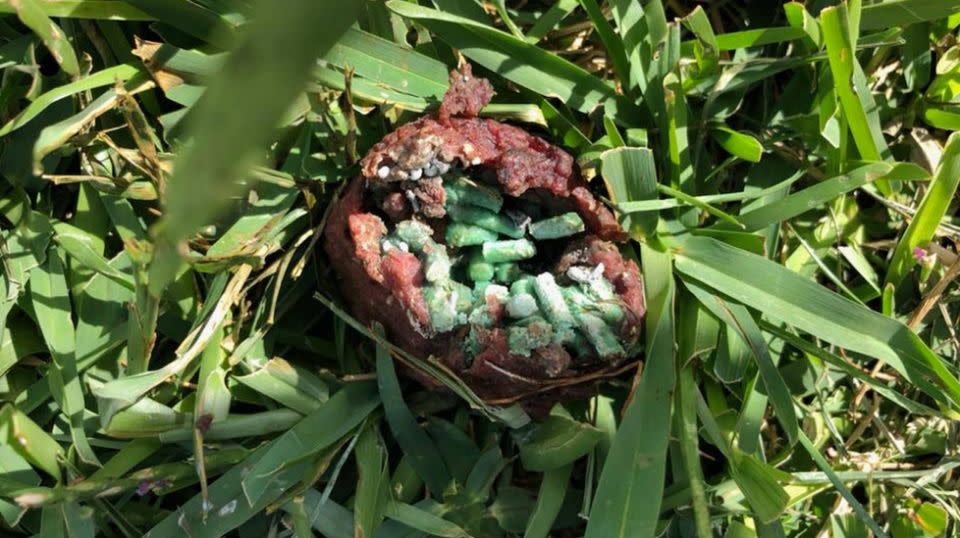 The poison-laced treat found in the backyard of his Stanmore home. Source: Facebook/ Andrew De Caires