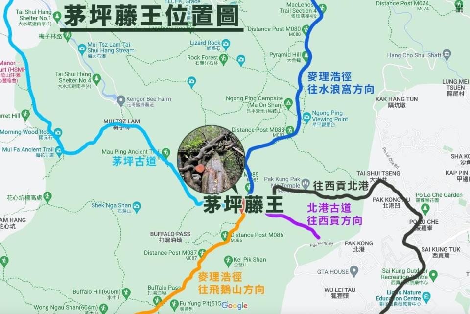 茅坪位於馬鞍山梅子林後山山坳，是多條山徑的交匯處。
