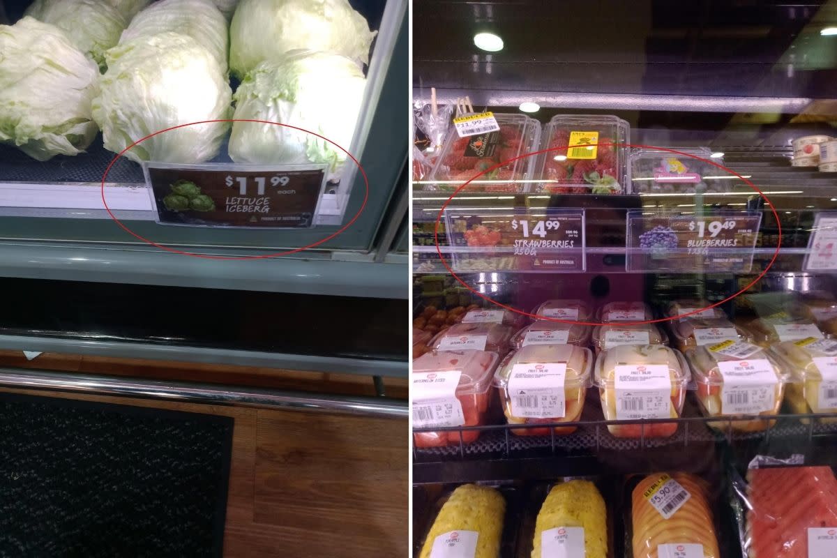 The iceberg lettuce for sale for $11.99 each in IGA Redcliffe. 