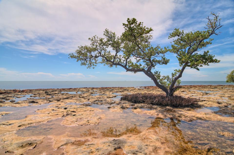 Bahia Honda State Park, Florida