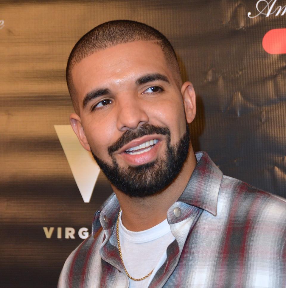 <p>Drake and his beard are like two peas in a pod.</p>