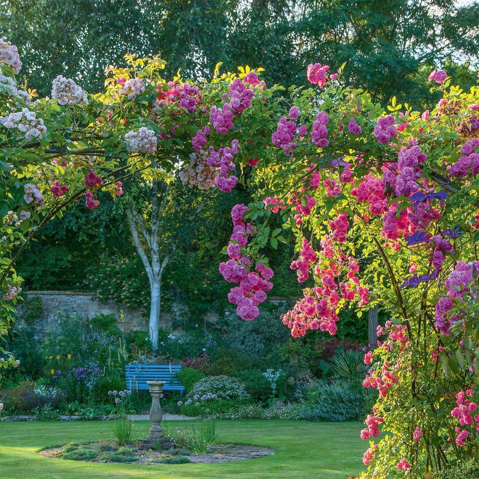 Photo credit: Glorious Gardens, by Country Living|Clive Nichols