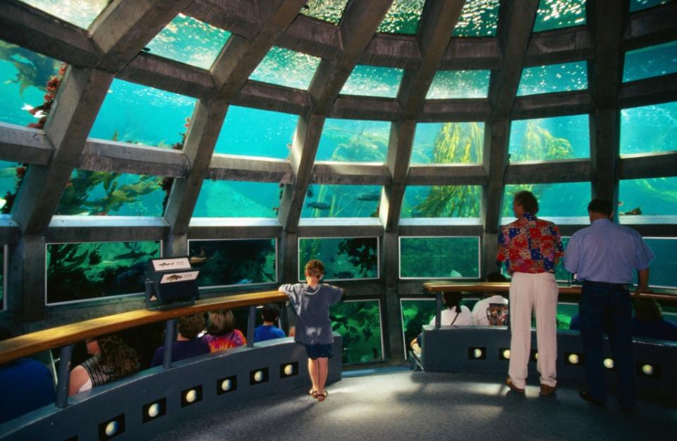 Seattle Aquarium via Getty Images
