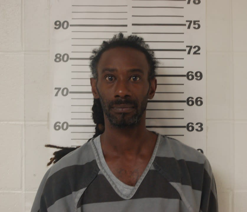 <em>Mugshot of Eron Demond Anderson, 43 of Athens, courtesy of Henderson County</em> <em>Jail. </em>