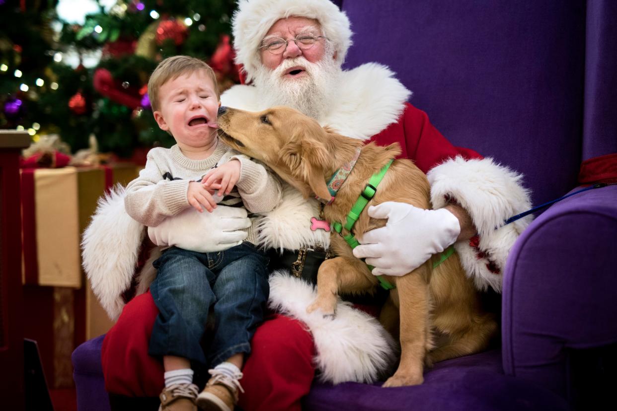 James Sumner, 1, gets some encouragement from the new family pet, four-month-old golden retriever, Haley, after the youngster started to cry during his picture with Santa at Jefferson Mall on Monday evening. "We really wanted to have her in the pictures with him this year," mother, Whitney Sumner, said. Pet nights with Santa started at the mall years ago and has continued to grow in popularity. "We are having three pet nights this year because of the popularity of the event," Jefferson Mall marketing manager, Sara Enlow, said. "I'm not exactly sure what the strangest pet we've had brought in would be, perhaps a snake or hedgehog." The Jefferson Mall will host another pet night with Santa on Dec. 4 from 6PM to 9PM. Nov. 20, 2017
