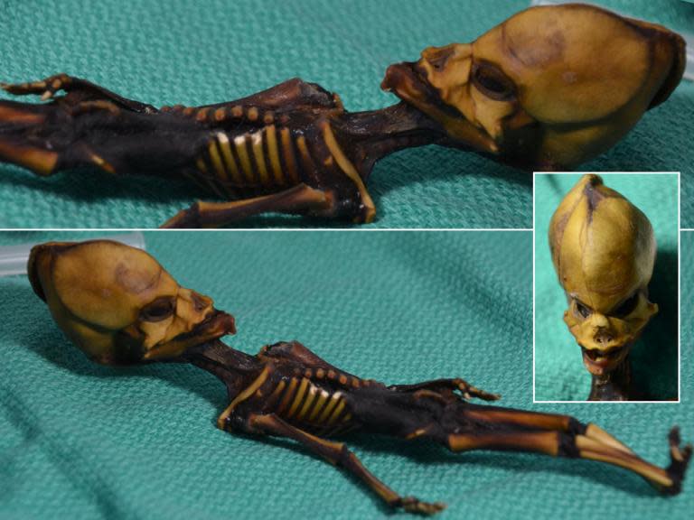 Mystery of ‘alien’ skeleton found in Chilean desert finally solved by scientists