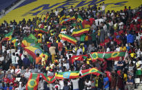 Spectators wave Ethiopian flags, top, and flags of the Oromo Liberation Front, bottom right, at the World Athletics Championships in Doha, Qatar, Monday, Sept. 30, 2019. (AP Photo/David J. Phillip)