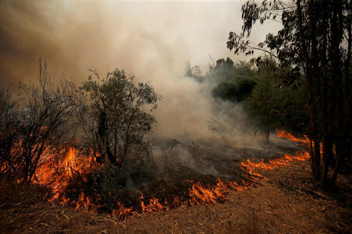 <p>An active front of a forest fire is seen next to the village of Castelo, Portugal, July 26, 2017. (Rafael Marchante/Reuters) </p>