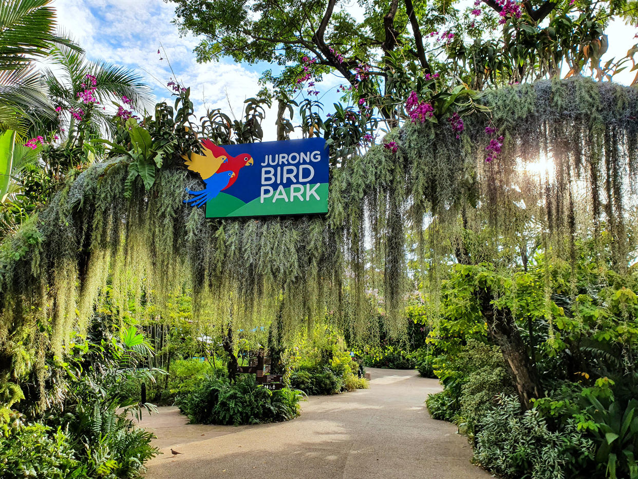 Jurong Bird Park is a world-famous zoo for birds. At the moment it is the  world's largest bird park in terms of the number of birds, and second largest both in the number of bird species and land area (after 
 Weltvogelpark Walsrode in Germany). In the Jurong Bird Park there are 5,000 birds of 400 species. 29 of them are threatened species.