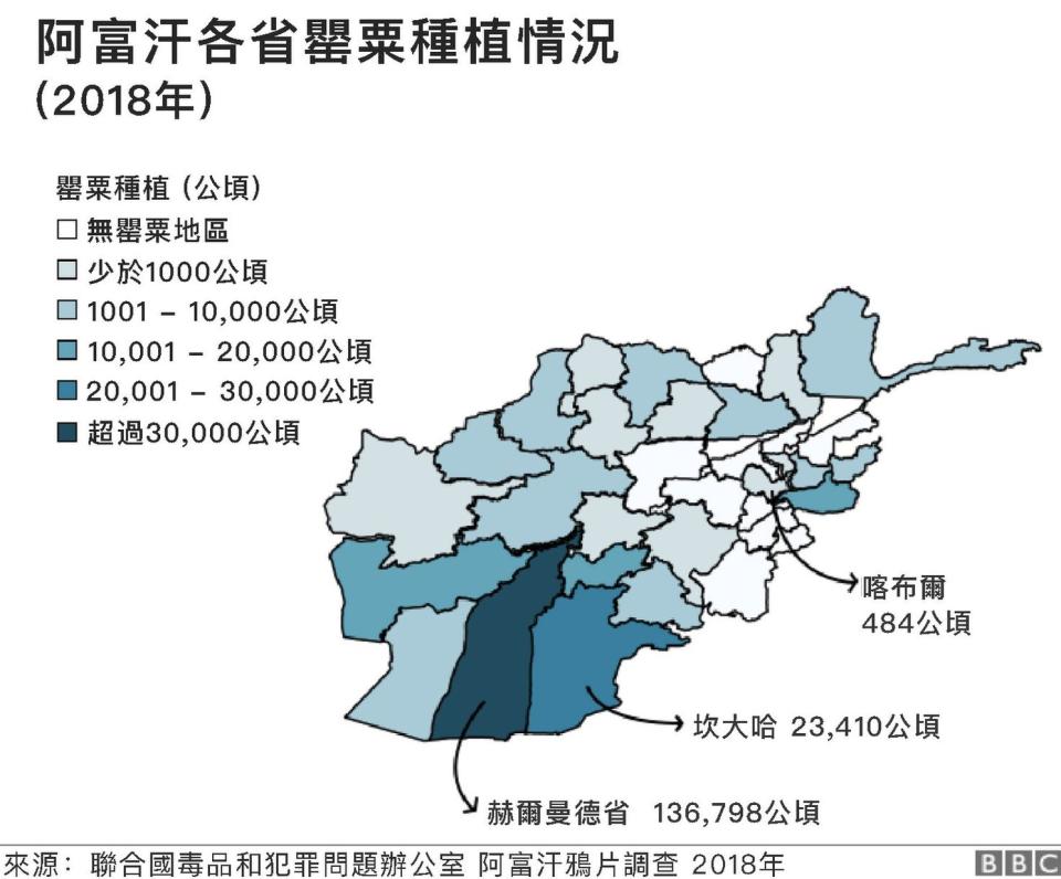 阿富汗各省情況