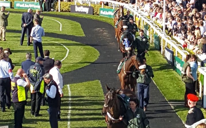 Jim White in parade ring - Credit: Jim White