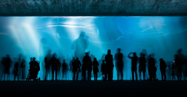 H2Glow (Deep Water Long Exposure), Monterey Bay Aquarium