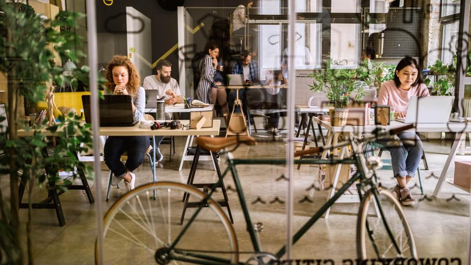 Bicycle in co-working space.