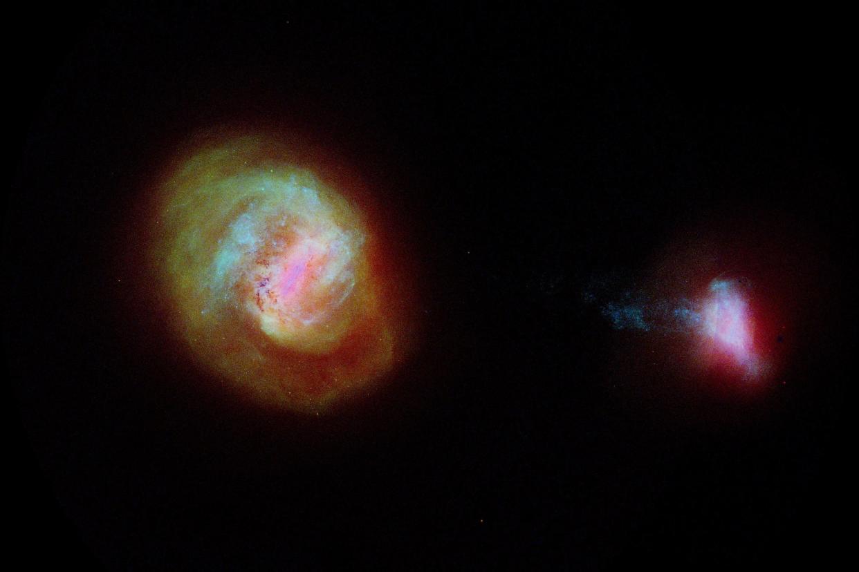 A diagram of the two most important companion galaxies to the Milky Way, the Large Magellanic Cloud or LMC (left) and the Small Magellanic Cloud (SMC) made using data from the European Space Agency Gaia satellite. The two galaxies are connected by a 75,000 light-years long bridge of stars, some of which is seen extending from the left of the SMC (ESA/Gaia/DPAC)