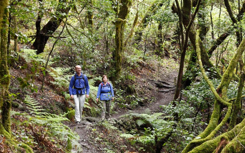  Hikers in Garajonay National Park - Alamy 