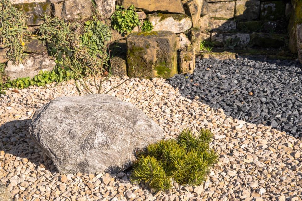 Crushed stone rock garden containing a boulder and small green shrubbery 