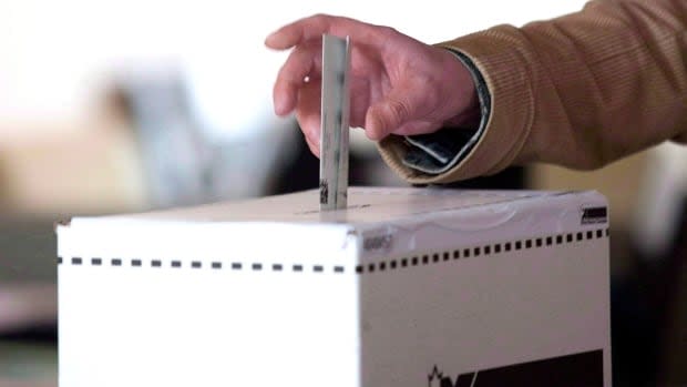 Voters in Pictou West will elect a replacement for Karla MacFarlane in a byelection on May 21. MacFarlane announced her retirement earlier this month.  (CBC - image credit)