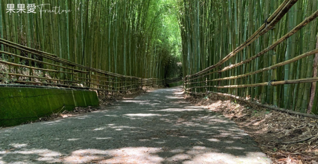 媲美日本著名的京都嵐山美景 竹林秘境