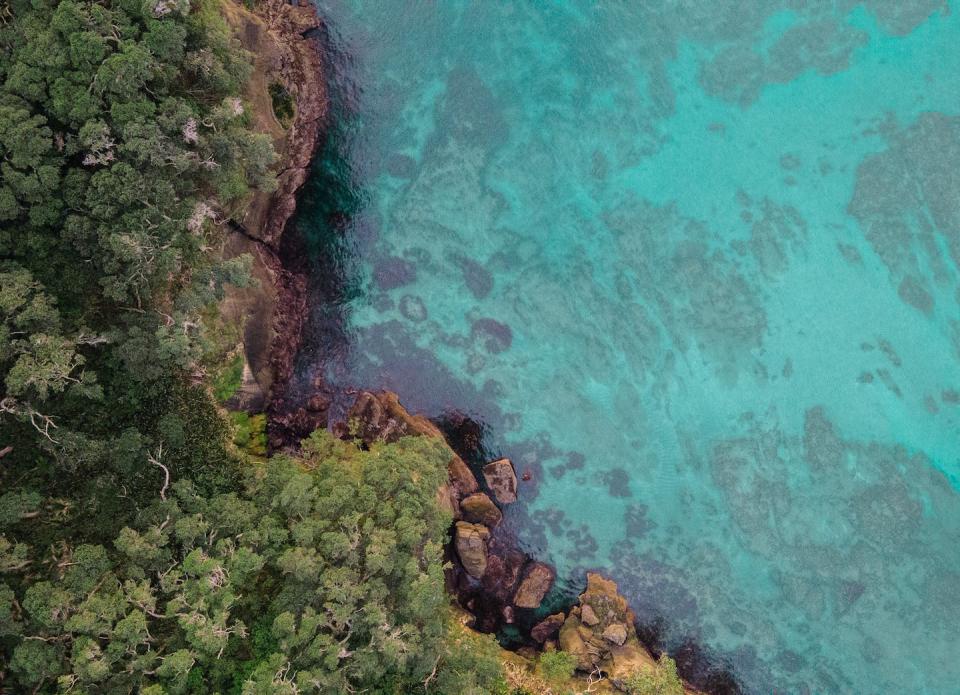 Recent law reforms have focused on land-based issues, overlooking the interconnected threats facing the ocean. Unsplash/Look up look down photography