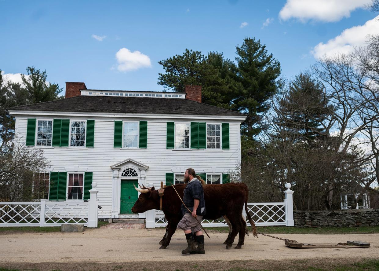 Coordinator of Agriculture Dave Hruska takes Tom and Sid out for some exercise as he goes about his daily duties at Old Sturbridge Village in a file photo.