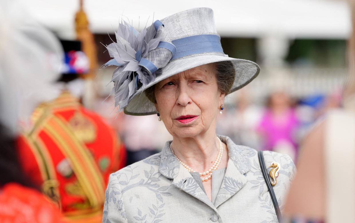 The Princess Royal hosted a garden party for a veterans' charity at Buckingham Palace on the day of the alleged bomb hoax