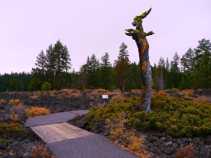 Lava Cast Trail