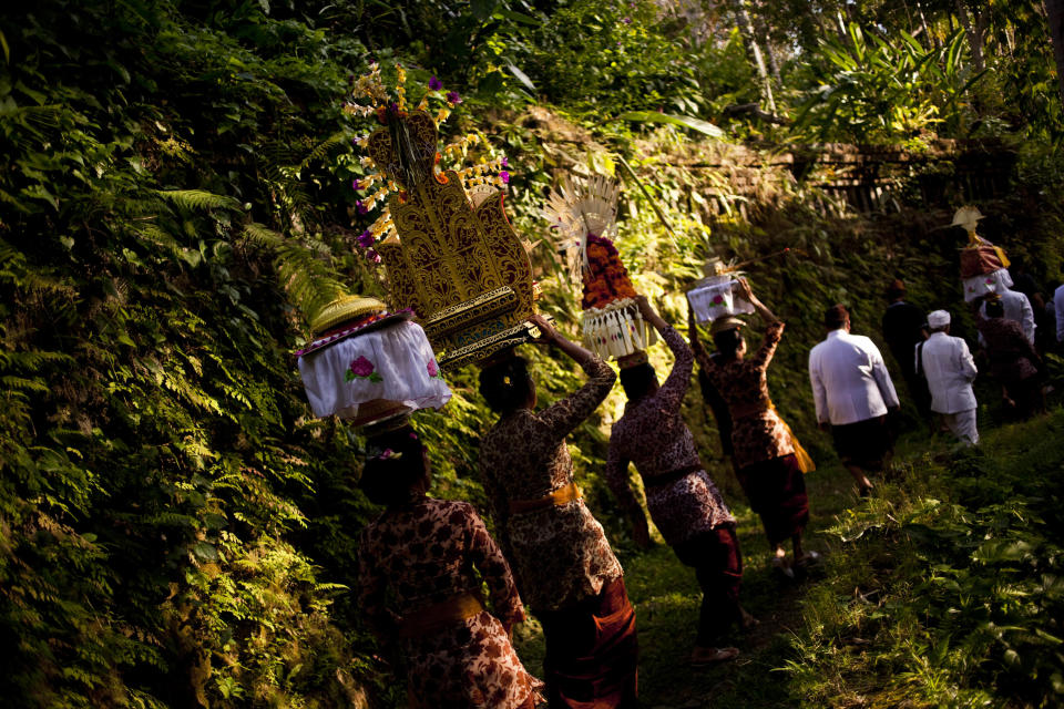 UBUD, BALI, INDONESIA - AUGUST 17: Balinese women carry offerings during the Hindu Royal cremation - also know as the Pengabenan - for the late Anak Agung Niang Rai, mother of Gianyar Regent, Tjokorda Oka Artha Ardana Sukawati, at Puri Ubud in Gianyar Bali on August 17, 2011 in Ubud, Bali, Indonesia. Niang Rai died in a Denpasar hospital in May; her actual cremation will take place on August 18 and will involve a nine level, 24m high 'bade' or body carring tower, made by upto 100 volunteers from 14 local villages. It will be carried to the cremation by 4500 Ubud residents. (Photo by Ulet Ifansasti/Getty Images)