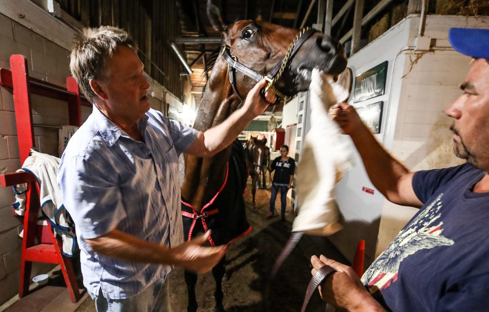 Trainer Greg Foley checks out Bango after training on Oct. 4, 2023, at Churchill Downs.