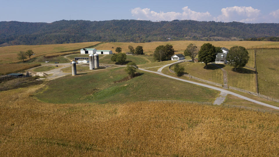 This Oct. 1, 2019 aerial photo shows farm buildings and a farm house surrounded by a crop of corn on a farm owned by the family of West Virginia Governor Jim Justice near Lewisburg, W.Va. Justice Farms of North Carolina raked in tens of thousands of taxpayer dollars under a subsidy program President Donald Trump set up to help farmers hurt by his trade war with China. (AP Photo/Steve Helber)