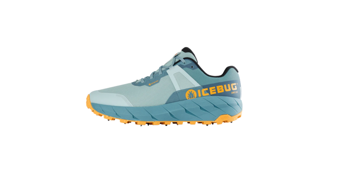 Ice Bug Shoes