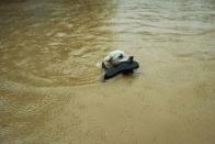 <p>A dog swims to safety during a massive flood in the Philippines in 2014. According to reports, a river in the eastern part of Manila burst its banks, leading to the evacuation of over 20,000 people.</p>